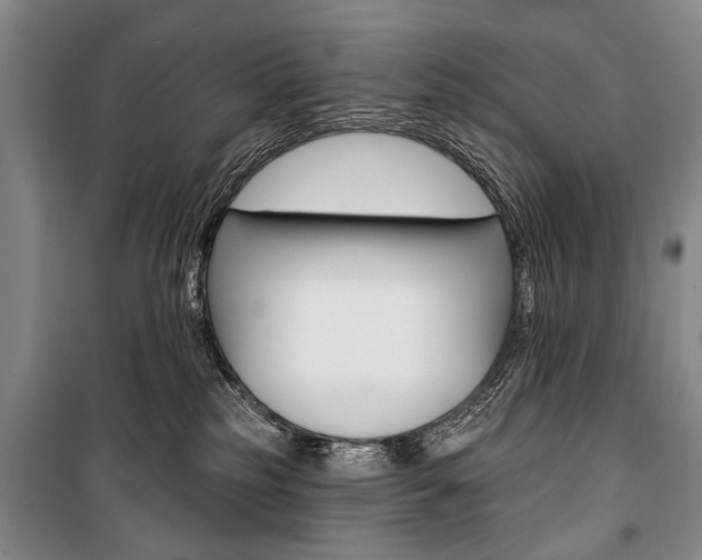 X0000101140185200806270745