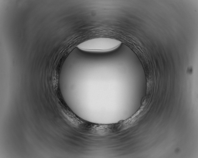 X0000101140186200806270745