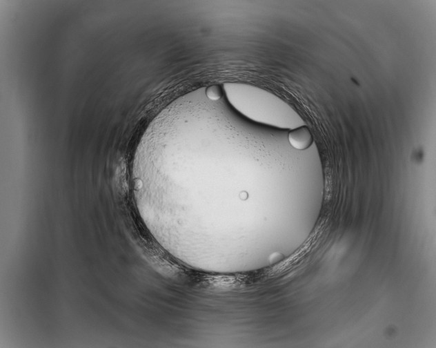 X0000101140187200806270745