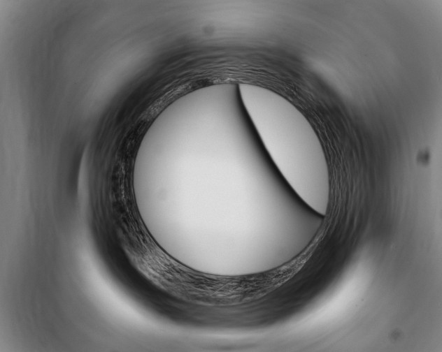 X0000101140191200806270745