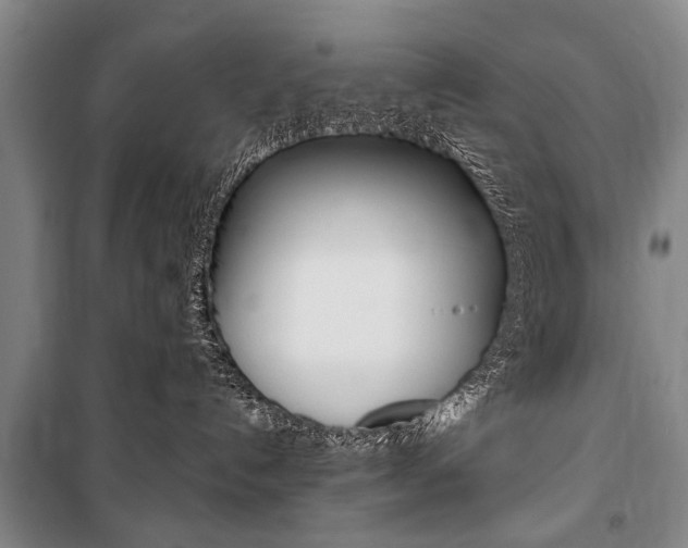 X0000101140192200806270745