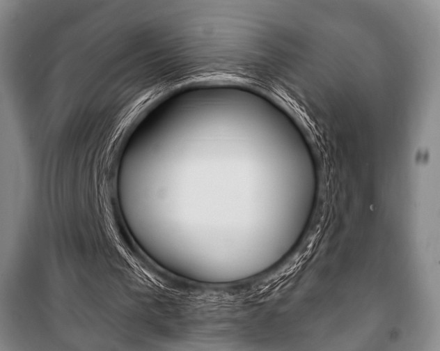 X0000101140193200806270744