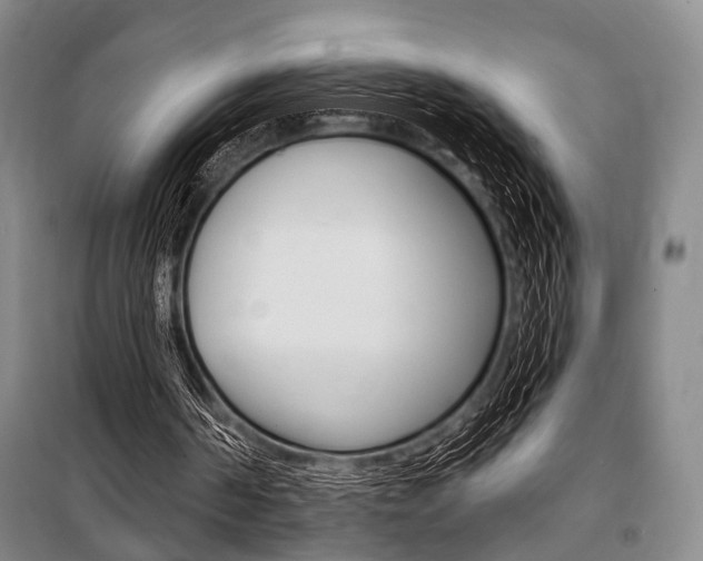 X0000101140194200806270744