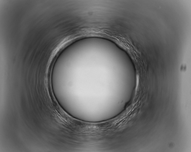 X0000101140195200806270744