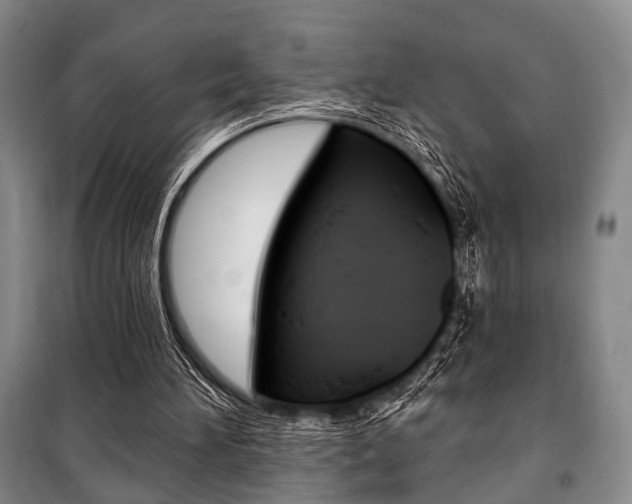 X0000101140196200806270744