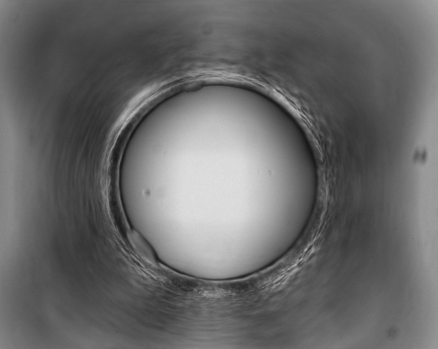 X0000101140199200806270744