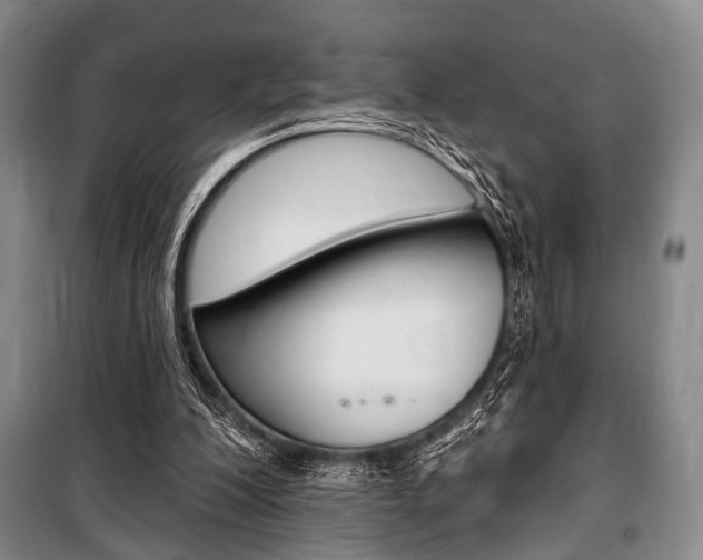 X0000101140200200806270744