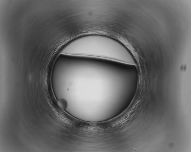 X0000101140201200806270744