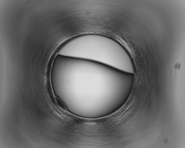 X0000101140203200806270744