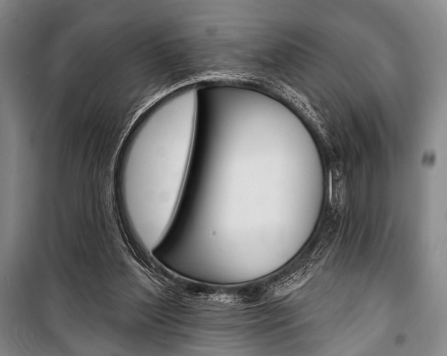 X0000101140204200806270744