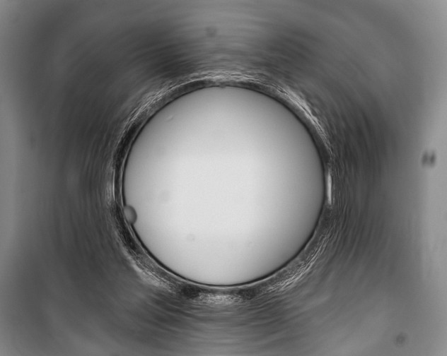 X0000101140205200806270744