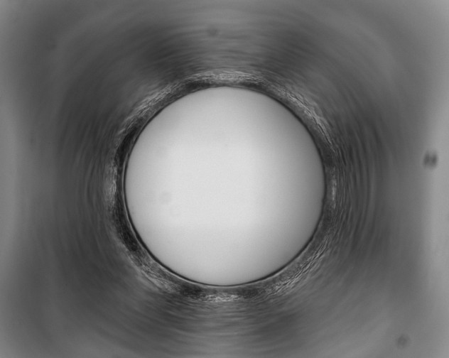 X0000101140206200806270744