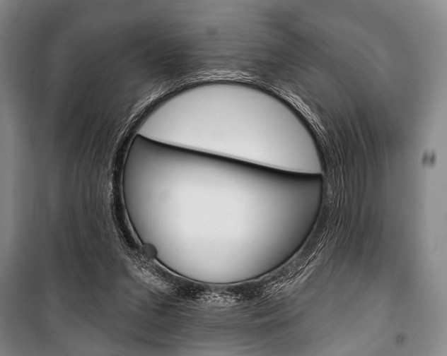 X0000101140207200806270744