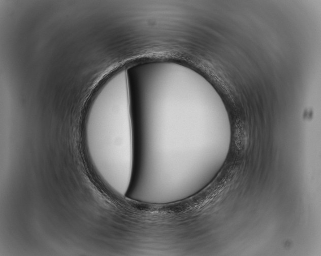X0000101140208200806270744