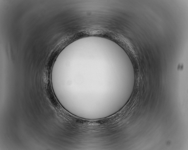 X0000101140210200806270744