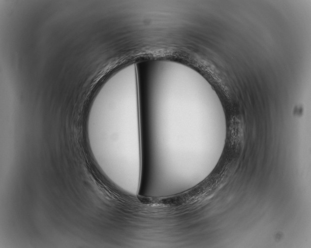 X0000101140212200806270744