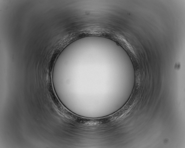 X0000101140213200806270744