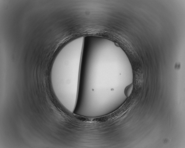 X0000101140216200806270743