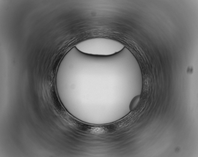 X0000101140218200806270743
