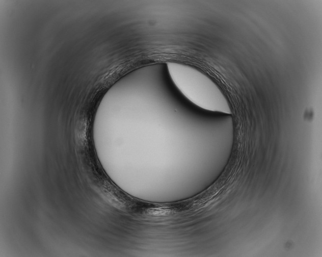 X0000101140219200806270743