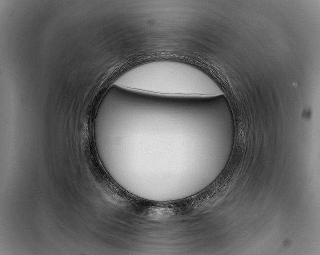X0000101140220200806270743