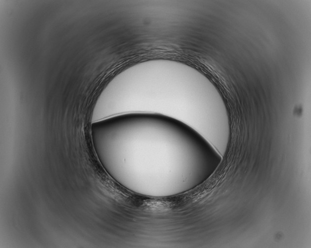 X0000101140221200806270743
