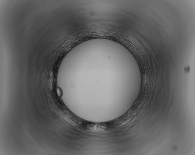 X0000101140223200806270743
