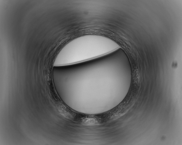 X0000101140224200806270743