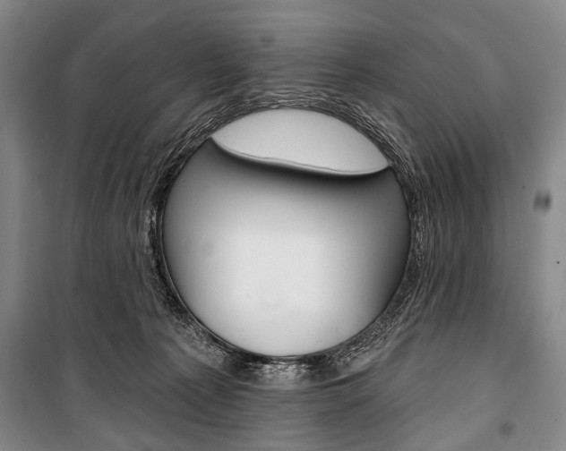 X0000101140225200806270743