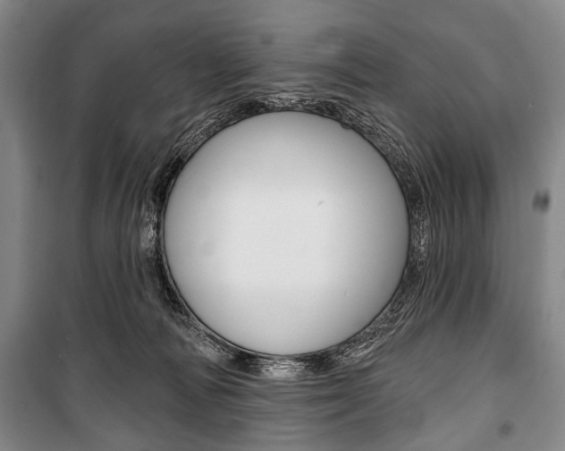X0000101140226200806270743