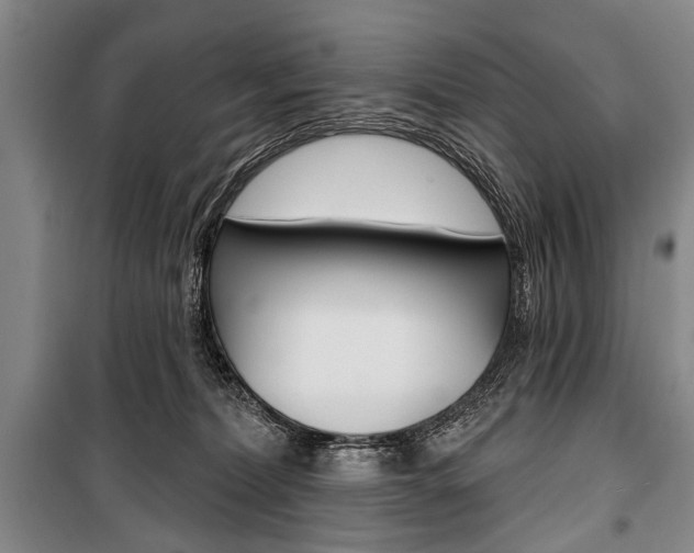 X0000101140228200806270743