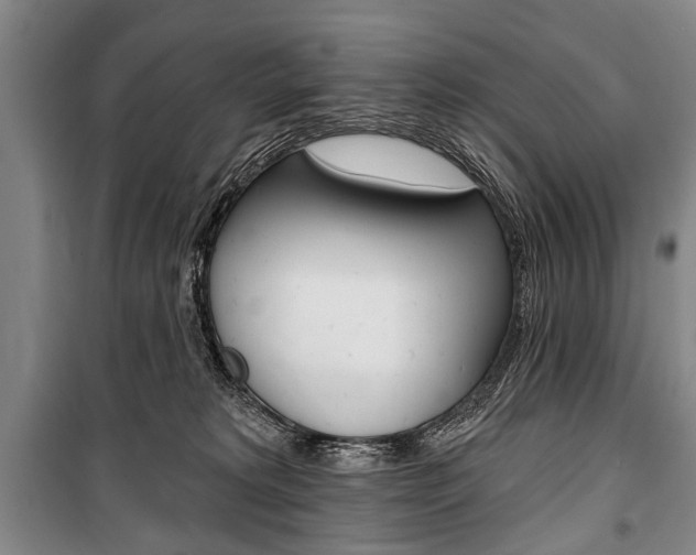 X0000101140229200806270743
