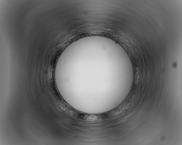 X0000101140230200806270743