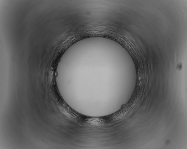X0000101140231200806270743