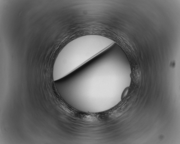 X0000101140232200806270743