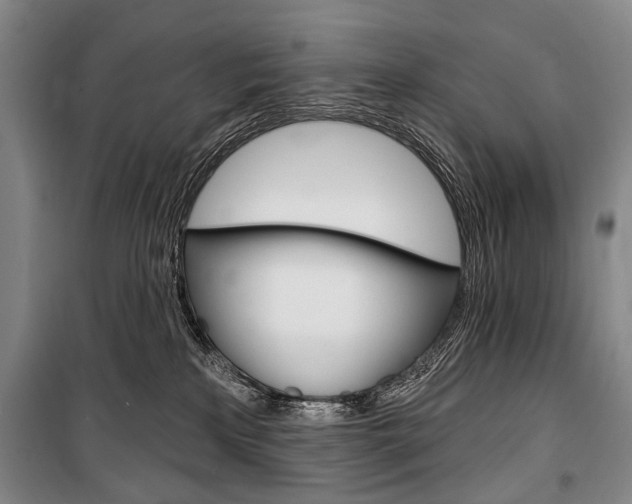 X0000101140233200806270743