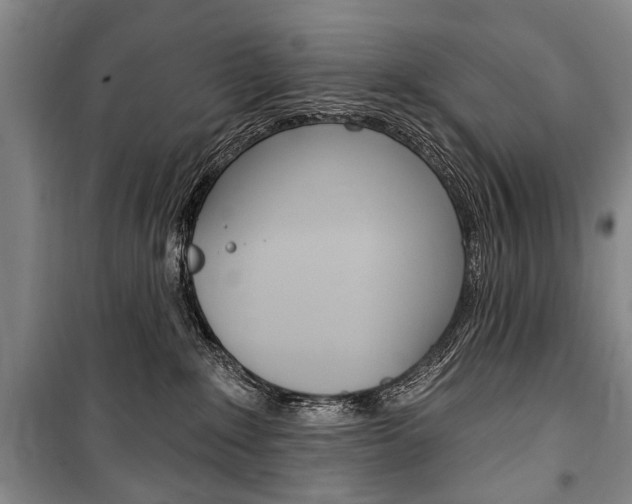 X0000101140235200806270743