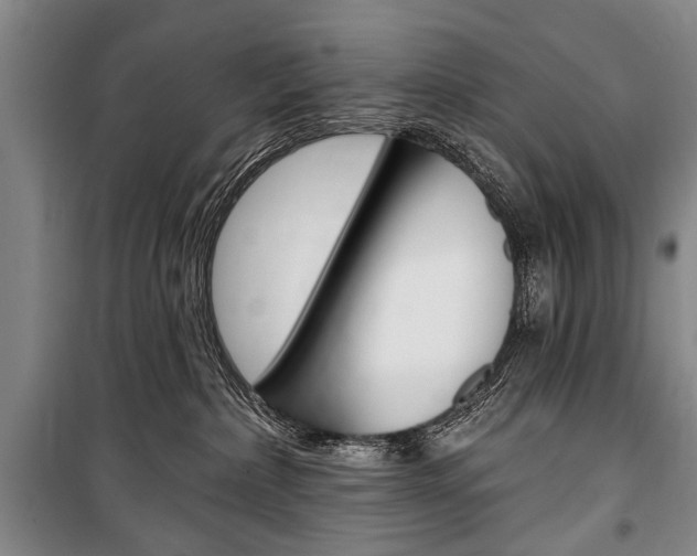 X0000101140236200806270743
