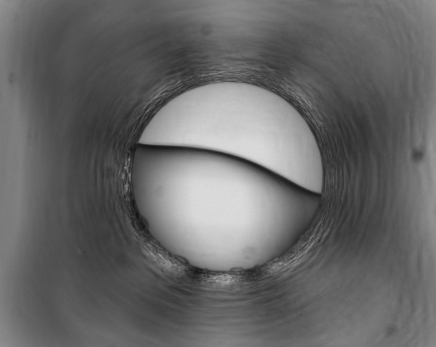 X0000101140237200806270743