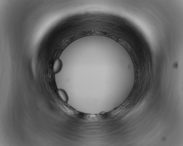X0000101140239200806270743