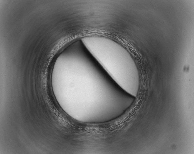 X0000101140242200806270742