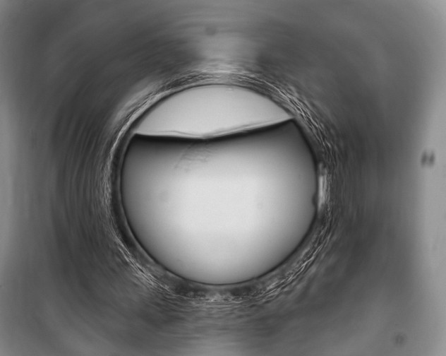 X0000101140243200806270742