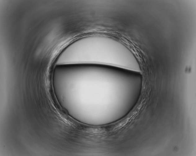 X0000101140245200806270742