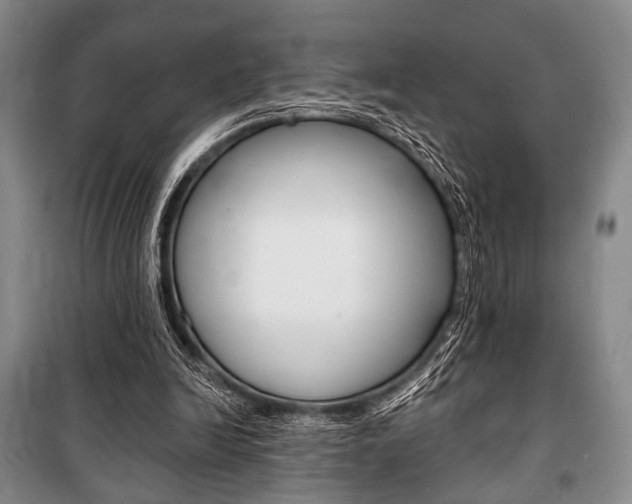 X0000101140246200806270743