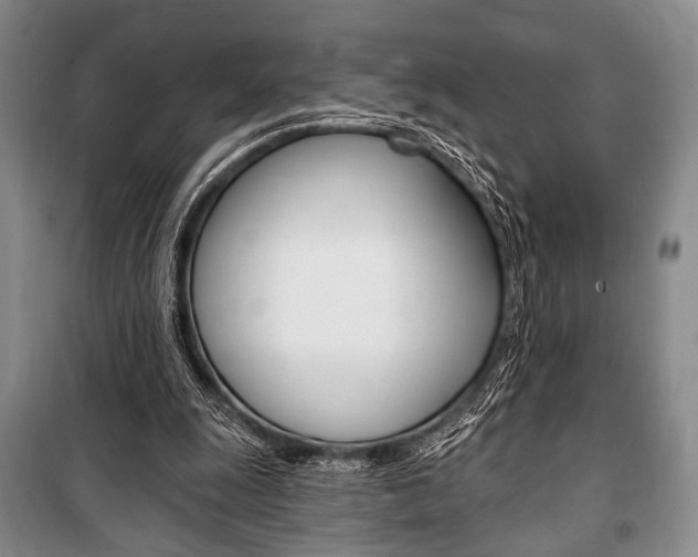 X0000101140247200806270743