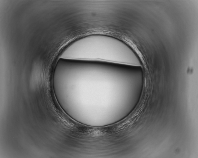 X0000101140249200806270743