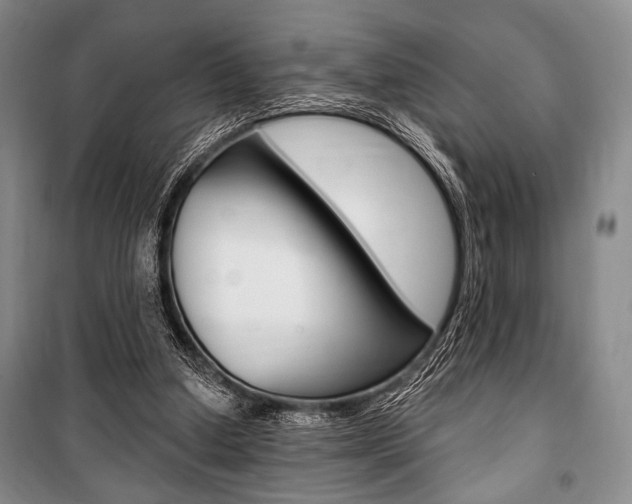 X0000101140250200806270743