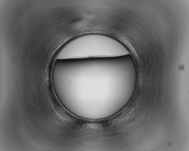 X0000101140251200806270743