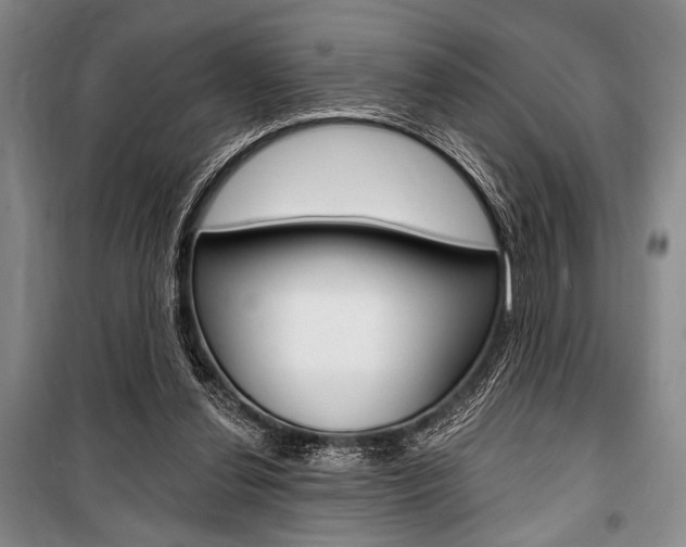 X0000101140252200806270743