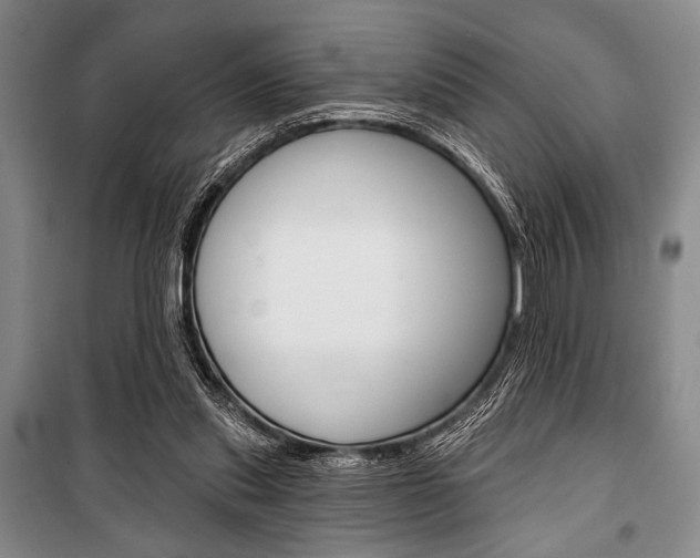 X0000101140253200806270743